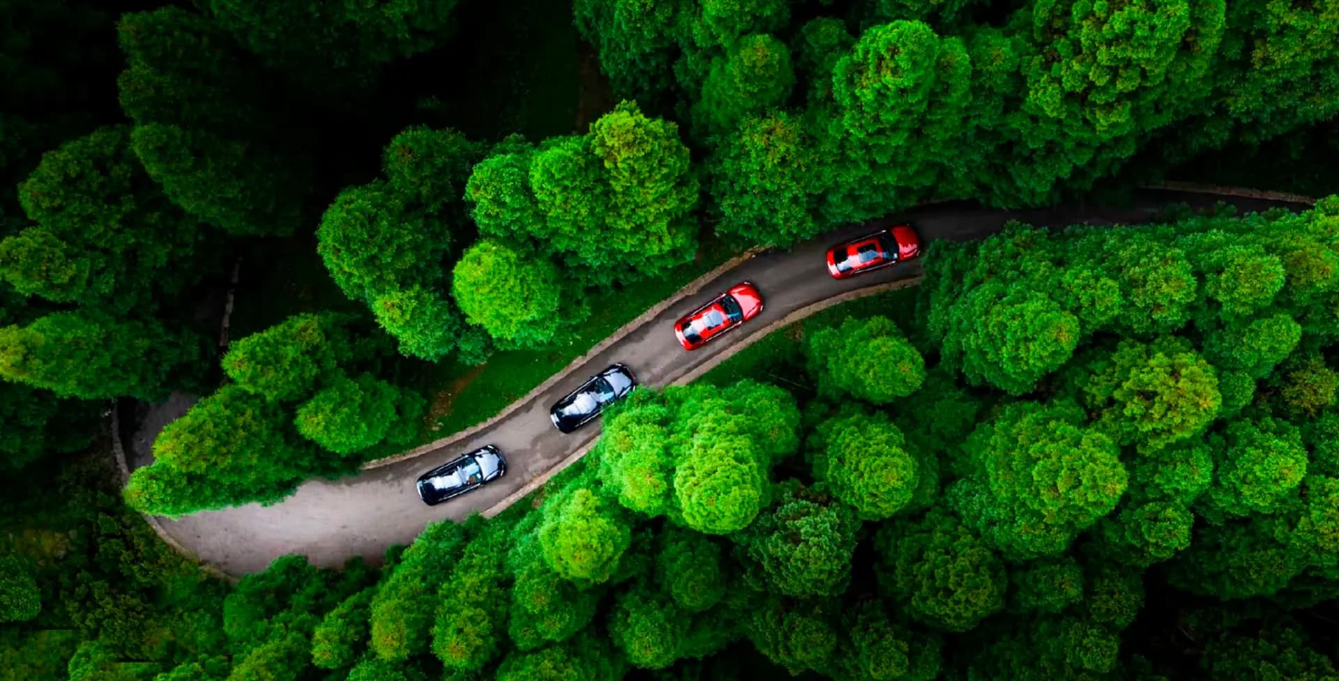 Innovación en BYD